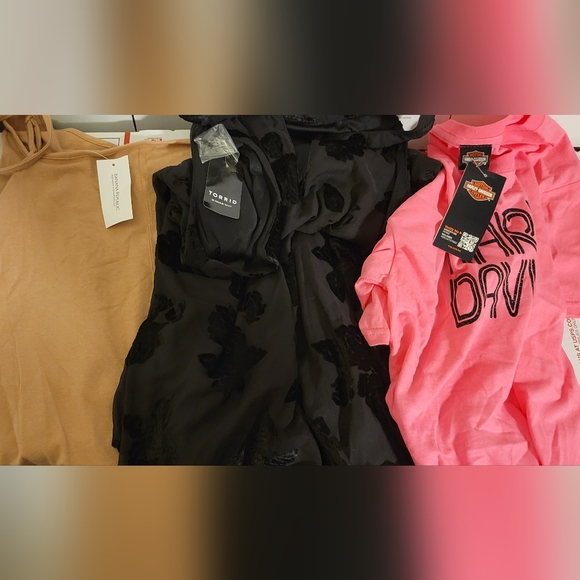 NWT Resellers Women's 10 piece Mystery Lot Mixed Brands/styles MINIMUM MSRP $400 - Picture 8 of 8